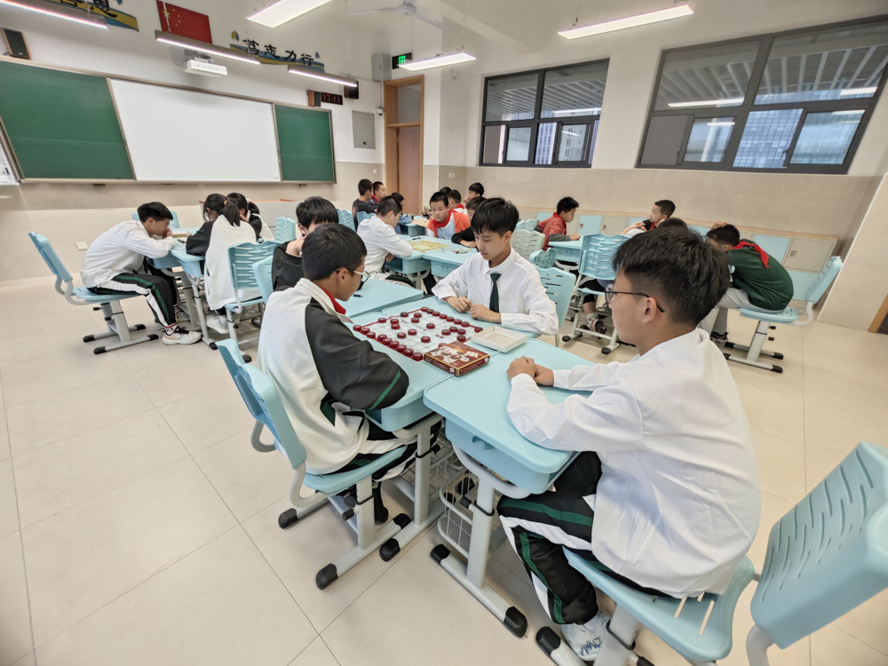 图片13