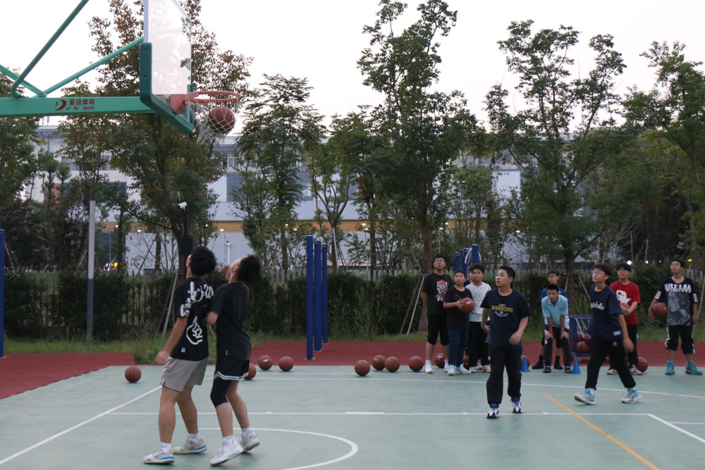 图片4