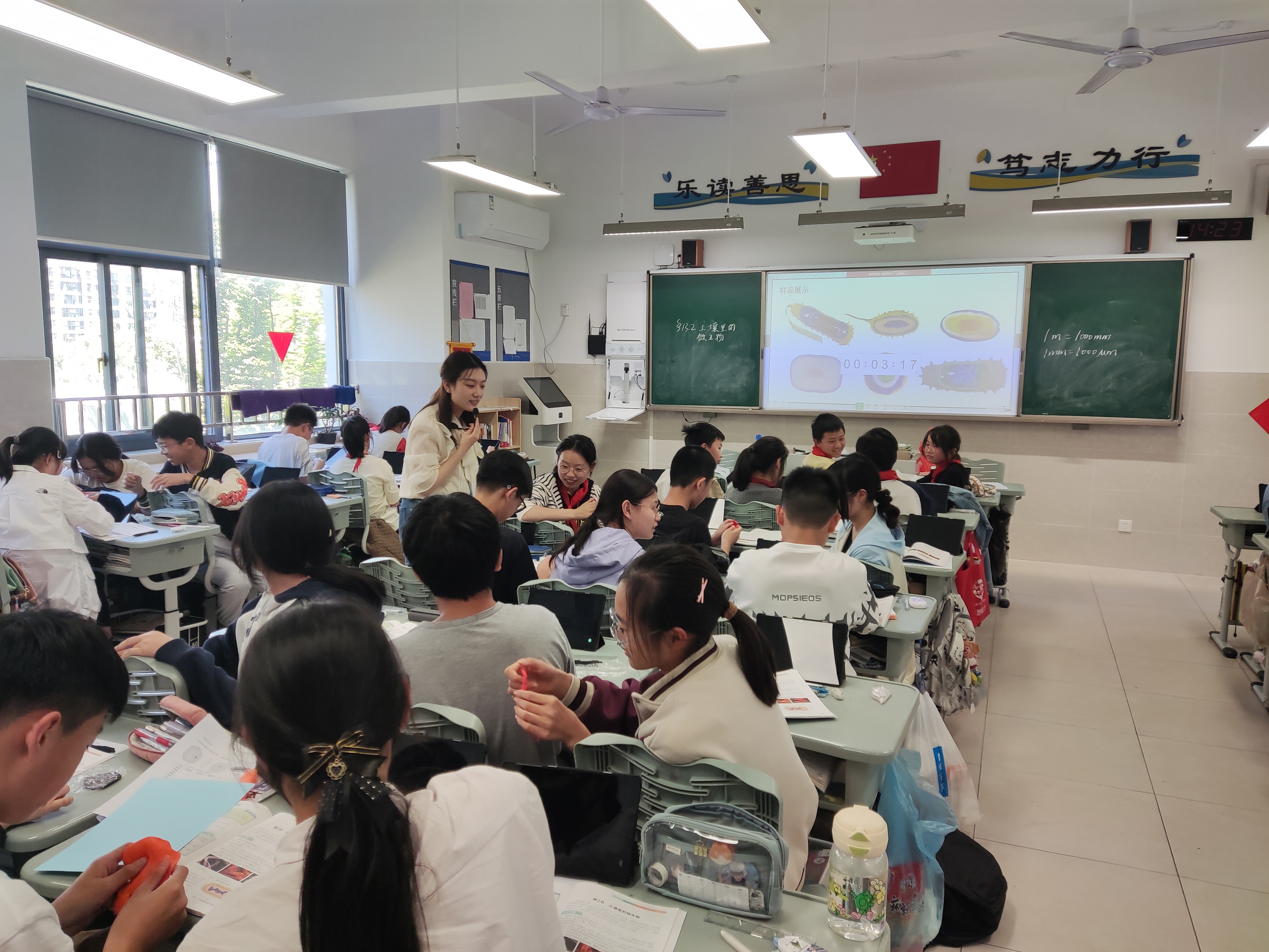 图5