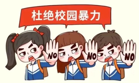 图片8